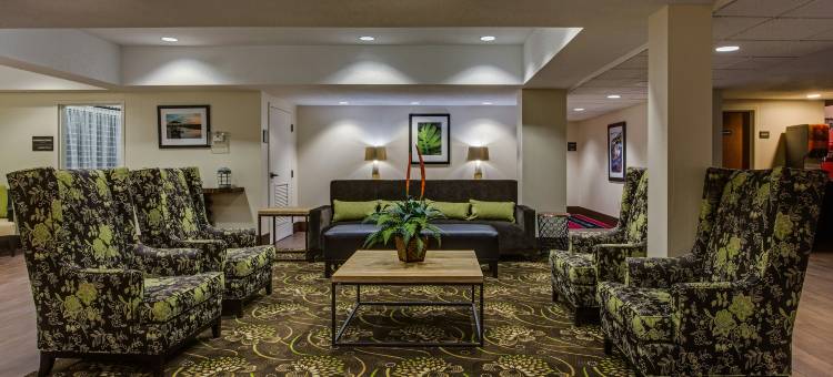 希尔顿欢朋酒店-波利斯岛(Hampton Inn Pawley's Island)图片
