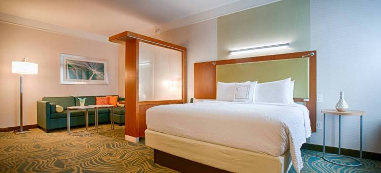 坎顿SpringHill Suites酒店(SpringHill Suites Canton)图片
