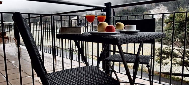 皮埃尔&法坎斯安道尔博尔德恩法力拉酒店(Pierre & Vacances Andorra Bordes D’Envalira)图片