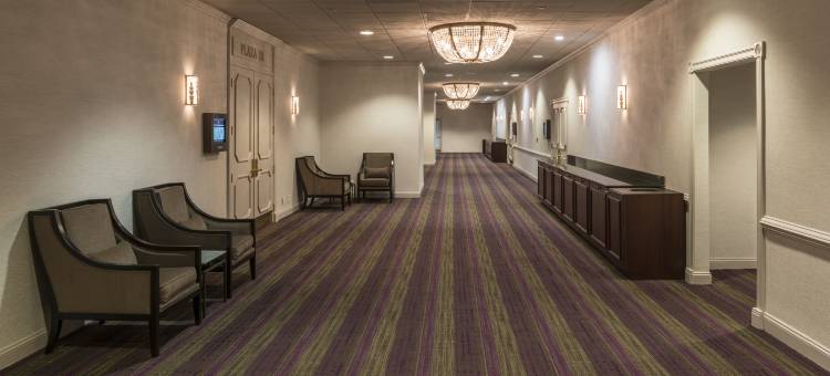 华盛顿特区 - 洛克维尔希尔顿酒店及行政会议中心(Hilton Washington DC/Rockville Hotel & Executive Meeting Center)图片