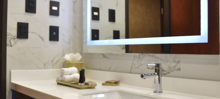 瓜那华托英迪格酒店(Hotel Indigo Guanajuato)图片