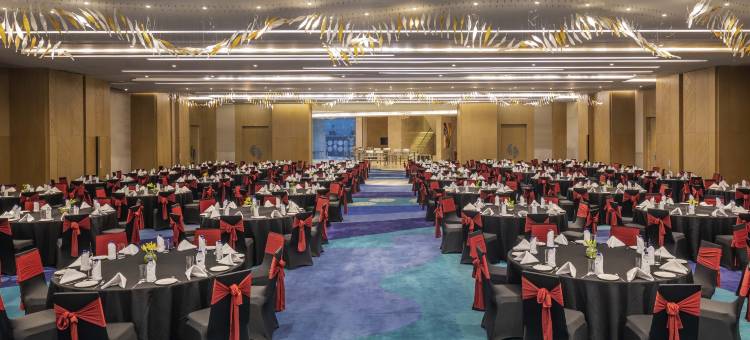 诺富特维加亚瓦达瓦伦酒店(Novotel Vijayawada Varun)图片