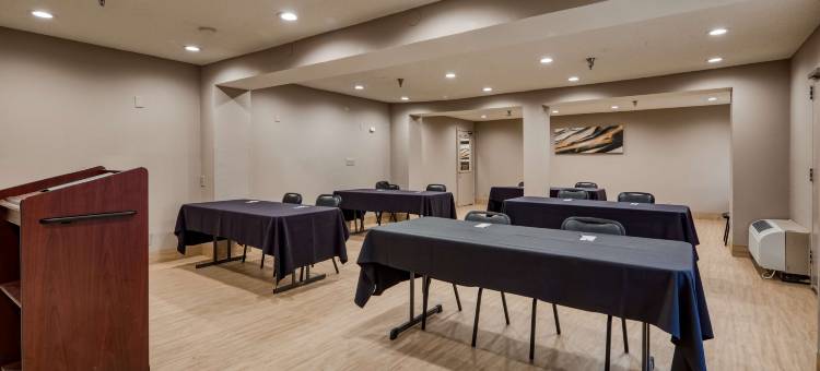 达拉姆医学中心贝斯特韦斯特SureStay Plus酒店(SureStay Plus Hotel by Best Western Durham Medical Center)图片