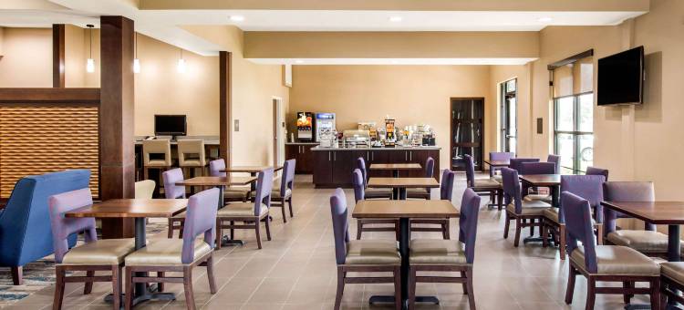 南奥斯汀舒适套房酒店(Comfort Suites - South Austin)图片