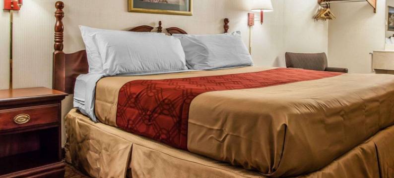 道格拉斯维尔-波茨敦伊克诺旅馆(Econo Lodge Douglassville-Pottstown)图片