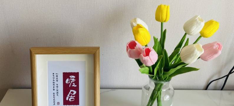 雄安新区容东安置区民宿(红莲街分店)图片