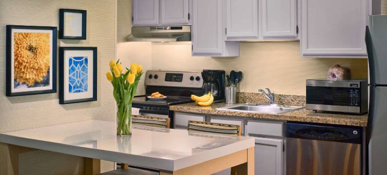 明尼阿波利斯圣保罗机场索尼斯塔 ES 套房(ES Suites Minneapolis  St. Paul Airport)图片