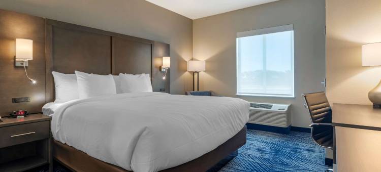 舒适酒店及套房巴尔奇斯普林斯 - 达拉斯东南(Comfort Inn & Suites Balch Springs - SE Dallas)图片