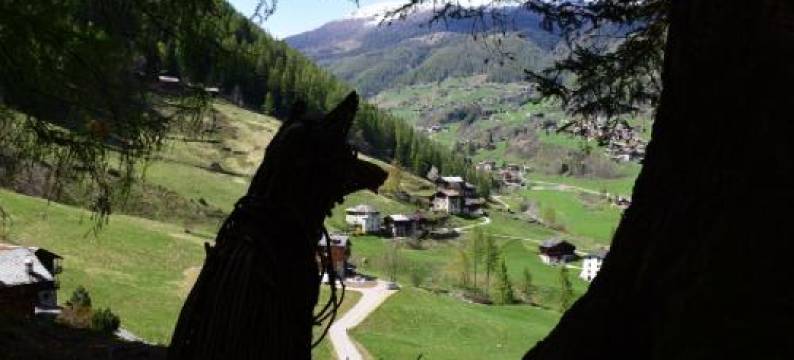 Residence Bonetti图片