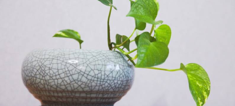 LOCALWEIHAI公寓(海瞳路分店)图片