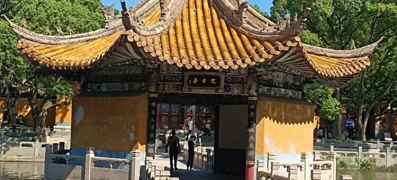 普陀山宿栖公寓(龙沙路1号分店)图片