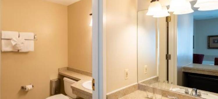 维尼菲拉旅馆(Vinifera Inn)图片