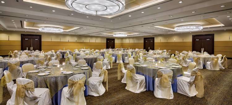 芝加哥希尔顿逸林酒店-阿灵顿高地(DoubleTree by Hilton Hotel Chicago - Arlington Heights)图片