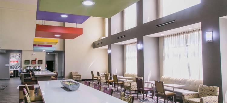 东阿马里洛欢朋套房酒店(Hampton Inn & Suites Amarillo-East)图片