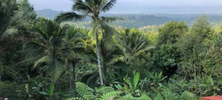 Sedana Yoga Resort图片