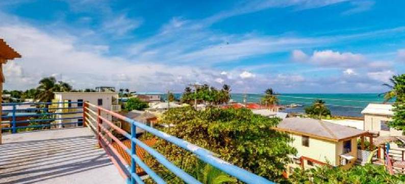 德利尔金刚鹦鹉宾馆(Scarlet Macaw at de Real Macaw)图片