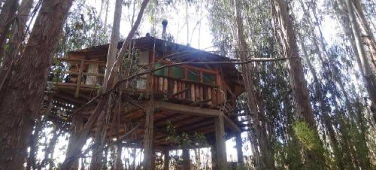 Cabanas Curi-Huapi图片