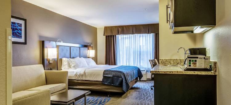 智选假日套房酒店圣路易斯西奥法隆(Holiday Inn Express & Suites ST. Louis West-O'Fallon)图片