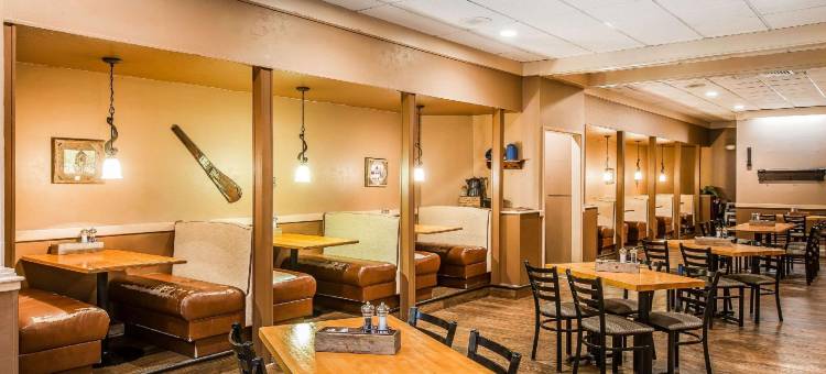 凯艺套房酒店(Quality Inn & Suites)图片