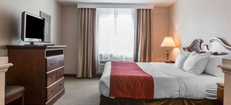 东格林奥尔巴尼舒适套房酒店(Comfort Inn & Suites East Greenbush - Albany)图片