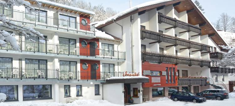 弗莱尔桑恩霍夫酒店(Ringhotel Sonnenhof)图片