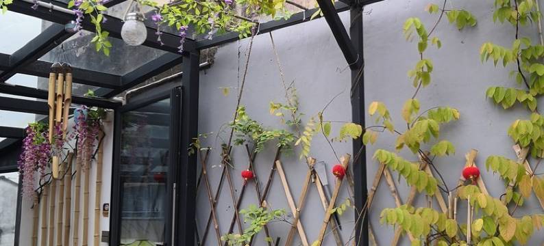 揽月阁紫藤轩公寓(铁巷1号分店)图片