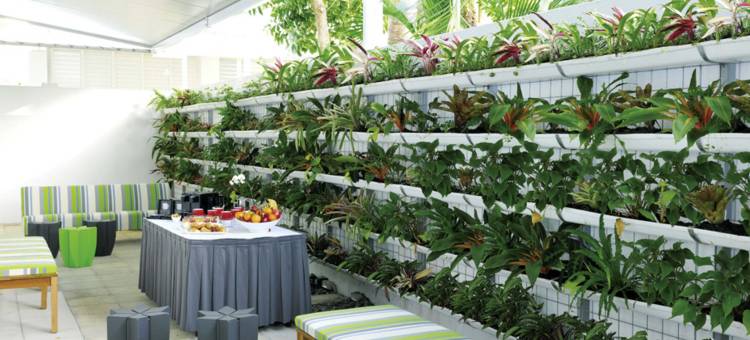 Peppers Beach Club & Spa Palm Cove图片