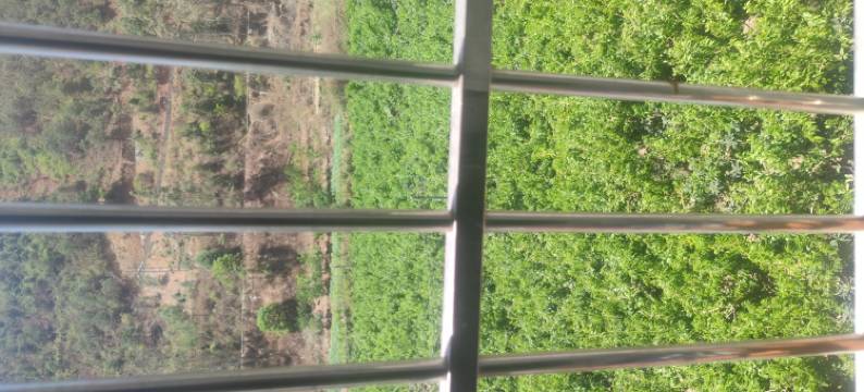 小汪老板公寓(果园北路分店)图片