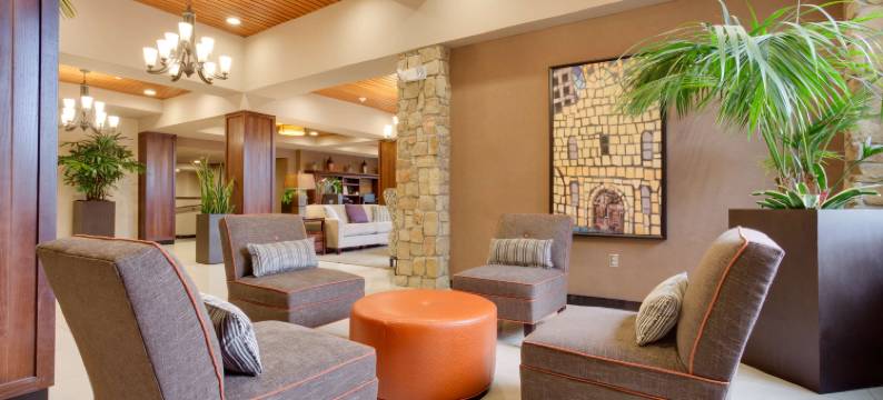 圣安东尼奥机场德鲁里广场酒店(Drury Plaza Hotel San Antonio Airport)图片