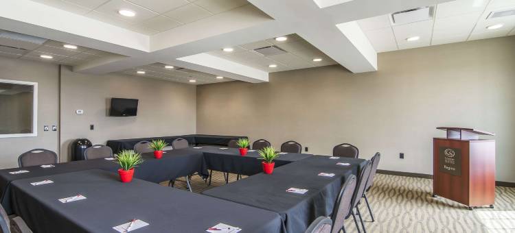 里贾纳舒适套房酒店(Comfort Suites Regina)图片