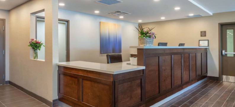 舒适套房酒店(Comfort Inn & Suites)图片