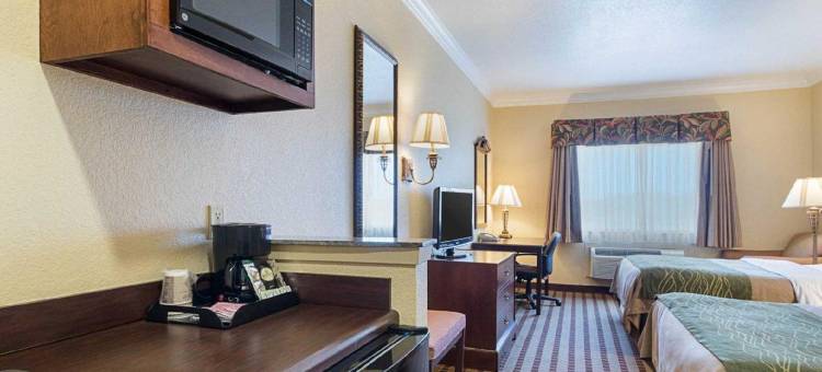厄尔利布朗伍德舒适酒店(Comfort Inn Early Brownwood)图片