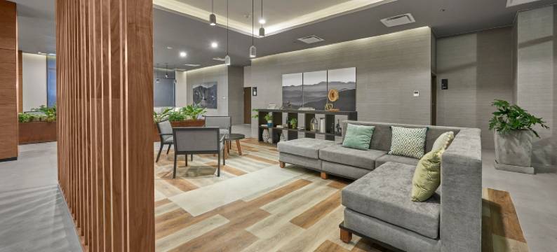 提华纳万豪城市快捷普拉斯酒店(City Express Plus by Marriott Tijuana)图片