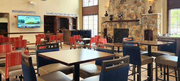 舒适套房酒店(Comfort Inn & Suites Mount Pocono)图片