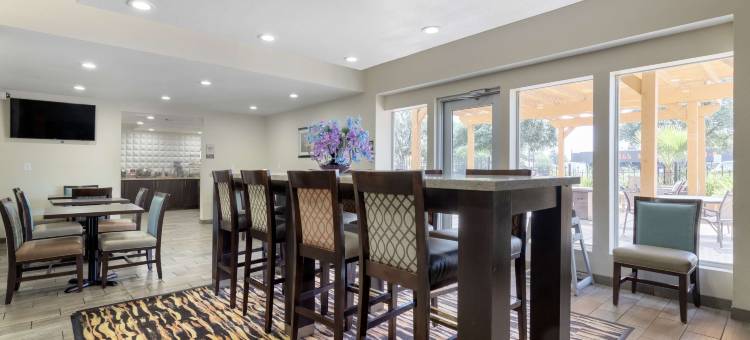 市中心北贝斯特韦斯特优质酒店(Best Western Plus Downtown North)图片