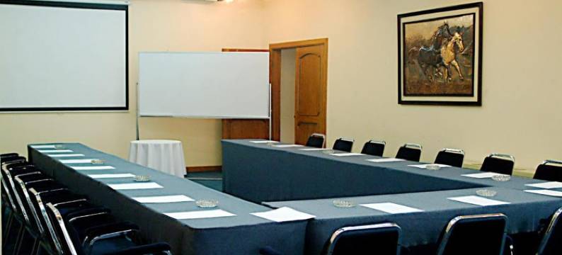 总统酒店(Hotel Presidente)图片