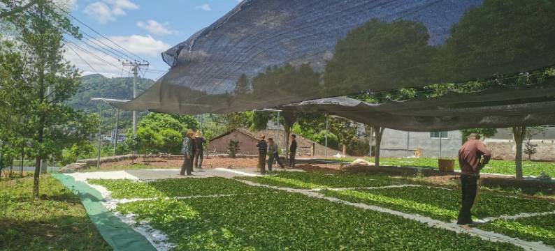 513之家公寓(安国大道1号分店)图片