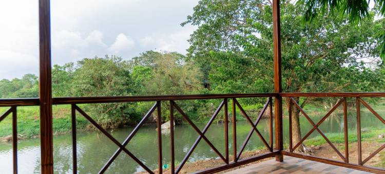 Mangozzz Magical World图片