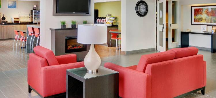 南方舒适酒店(Comfort Inn South)图片