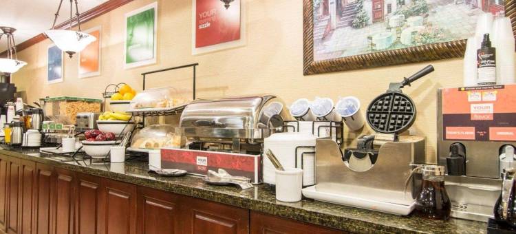 萨沃尼舒适套房酒店-秀格尔洛弗(Comfort Inn & Suites Suwanee - Sugarloaf)图片