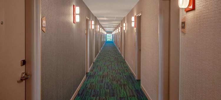 拉斯维加斯北希尔顿欣庭套房酒店(Home2 Suites by Hilton Las Vegas North)图片