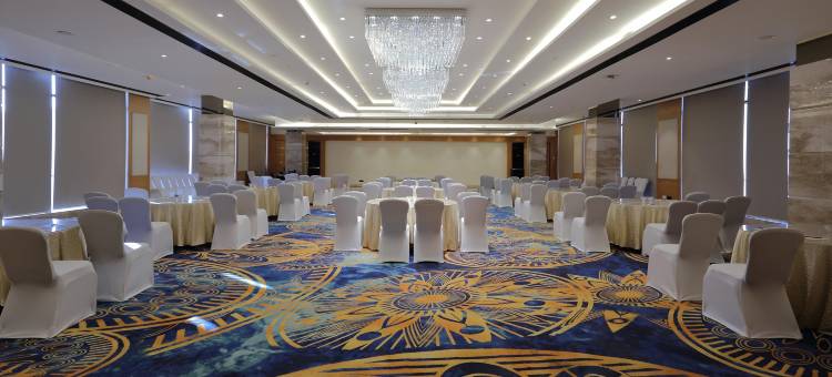 浦那欣贾瓦迪希尔顿花园酒店(Hilton Garden Inn Pune Hinjawadi)图片