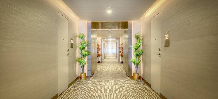 亚提德酒店(Attide Hotel)图片