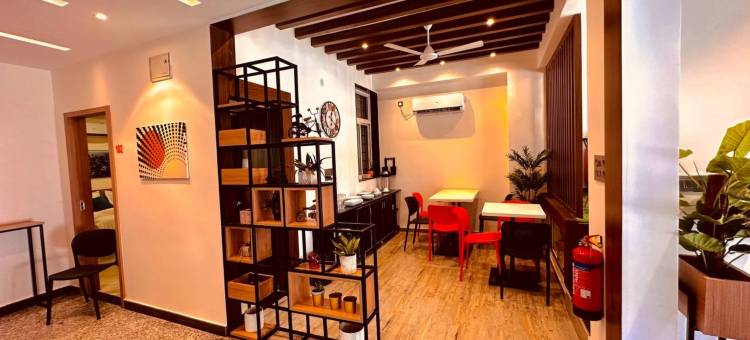 新中心酒店(Hotel New Centro)图片