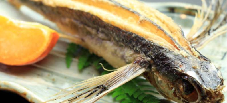 海森林旅馆(Pension Sea Forest)图片