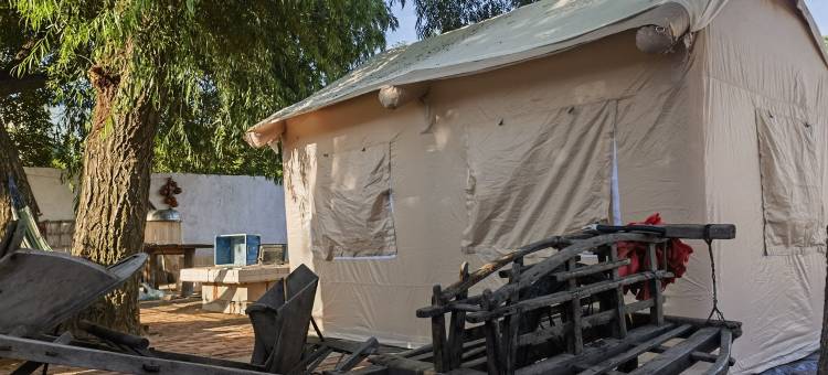 老渡口人家民宿(南防洪堤1号分店)图片