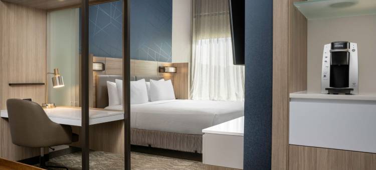 SpringHill Suites Birmingham Gardendale图片