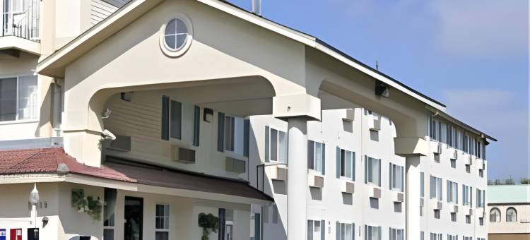 圣安东尼奥-嘉年华温德姆速8酒店(Super 8 by Wyndham San Antonio/Fiesta)图片