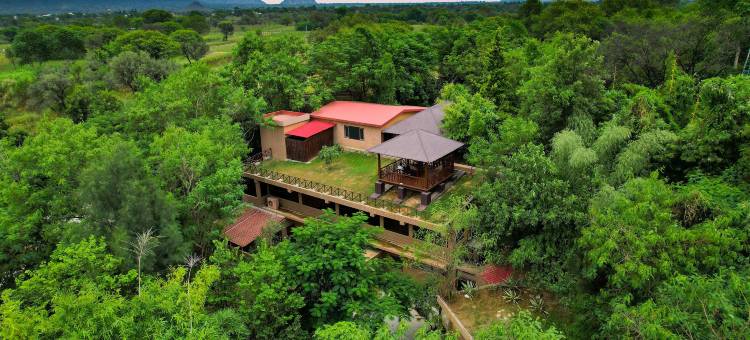 树屋度假村(The Tree House Resort, Jaipur- A Club Mahindra Associate)图片