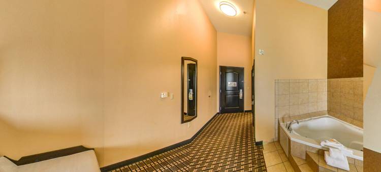 Holiday Inn 阿林顿东北流浪者棒球场(Holiday Inn Arlington NE-Rangers Ballpark)图片